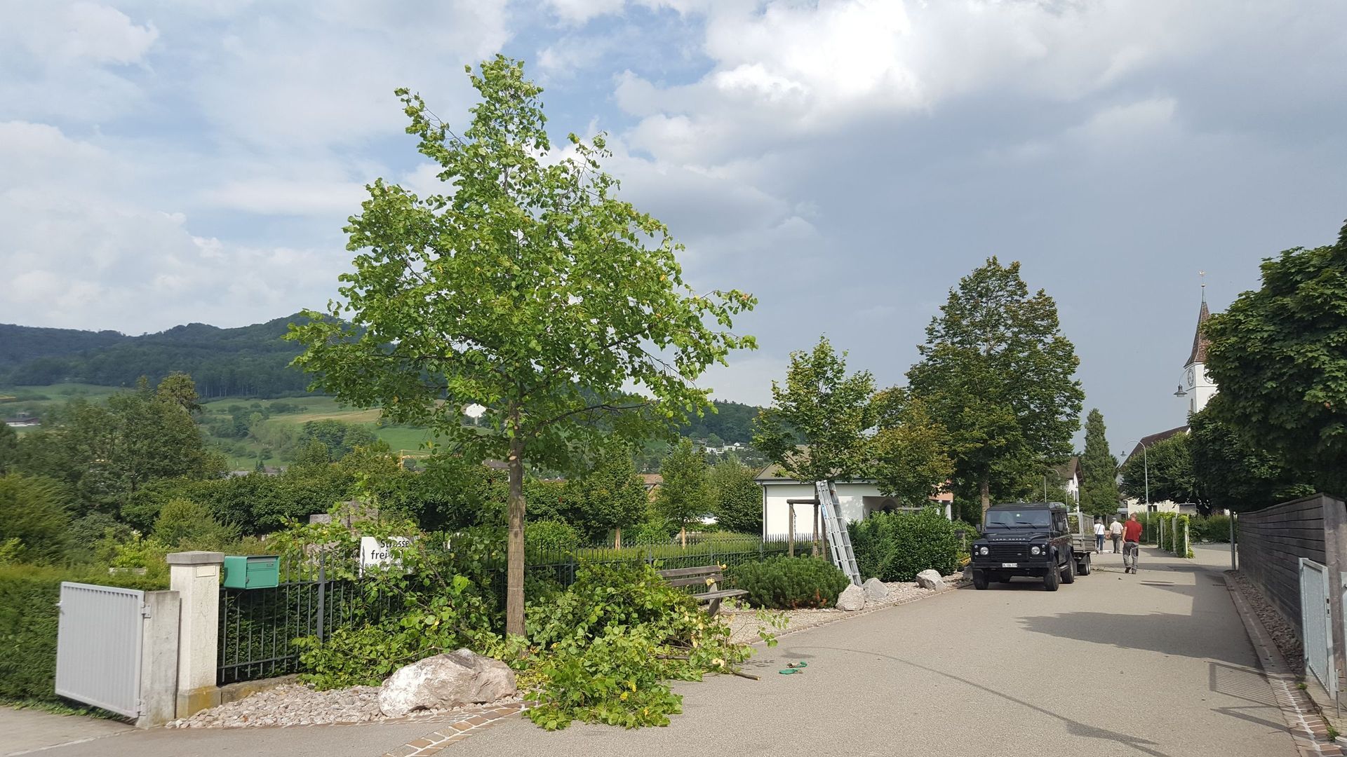 Bäume pflanzen - Bäume im Wintermantel