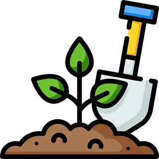 Una pala con una planta creciendo en ella.
