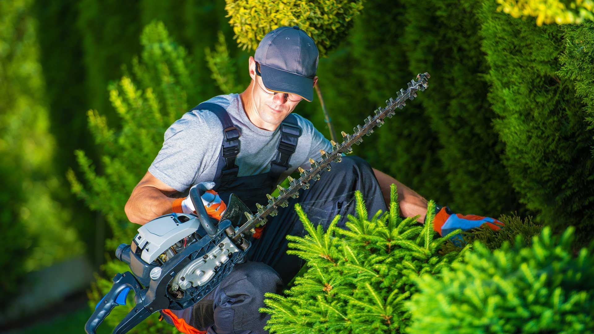 Un hombre está cortando un árbol con una motosierra.