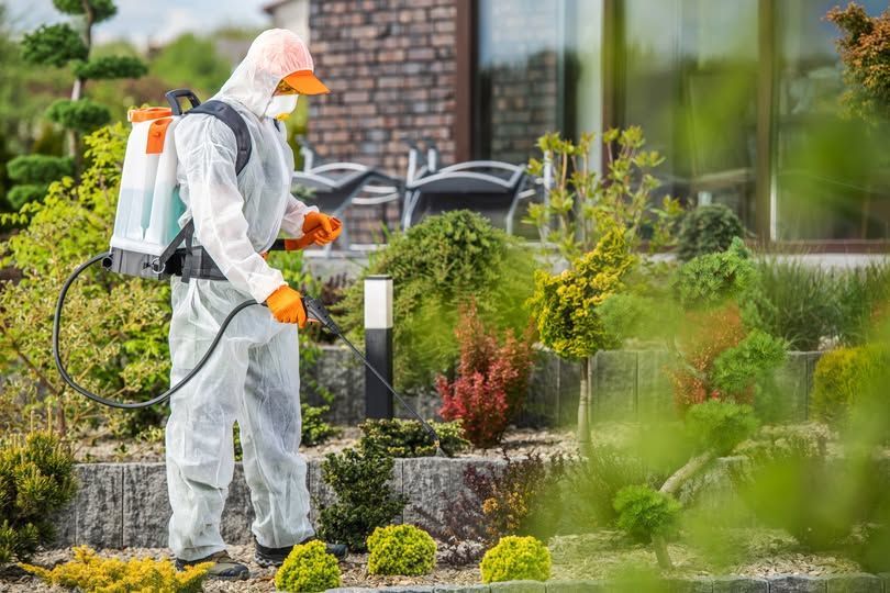 Un hombre con un traje de protección está rociando plantas en un jardín.