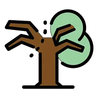 Un árbol con una rama rota y una hoja verde.