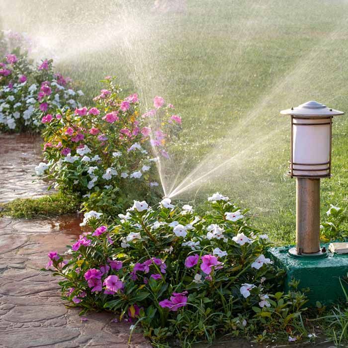 Un aspersor está rociando agua sobre un exuberante césped verde rodeado de flores.
