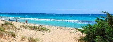 Scena di spiaggia con oceano blu, acqua turchese e spiaggia sabbiosa. Persone sulla spiaggia; vegetazione sulla destra.
