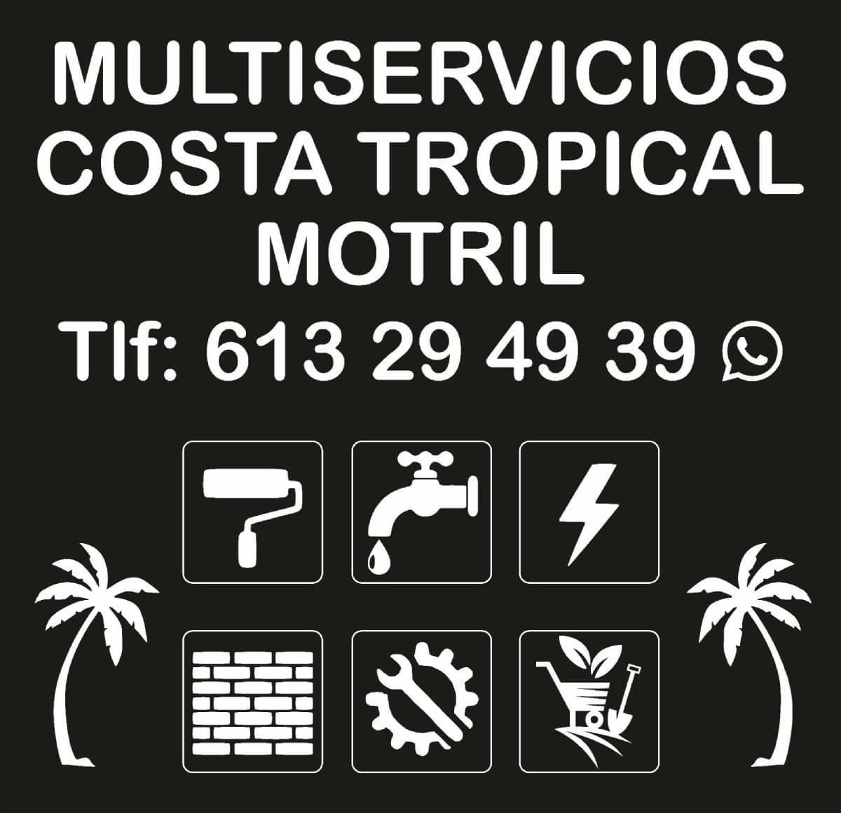 Logotipo de Multiservicios Costa Tropical Motril.