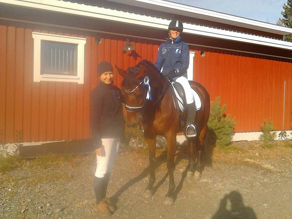 itahameenhevospalvelut