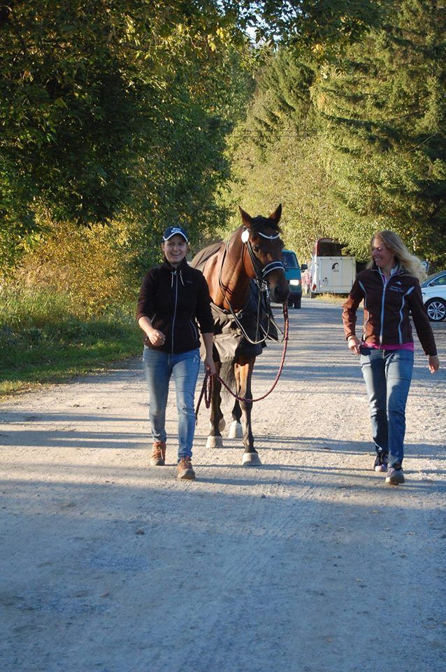 itahameenhevospalvelut