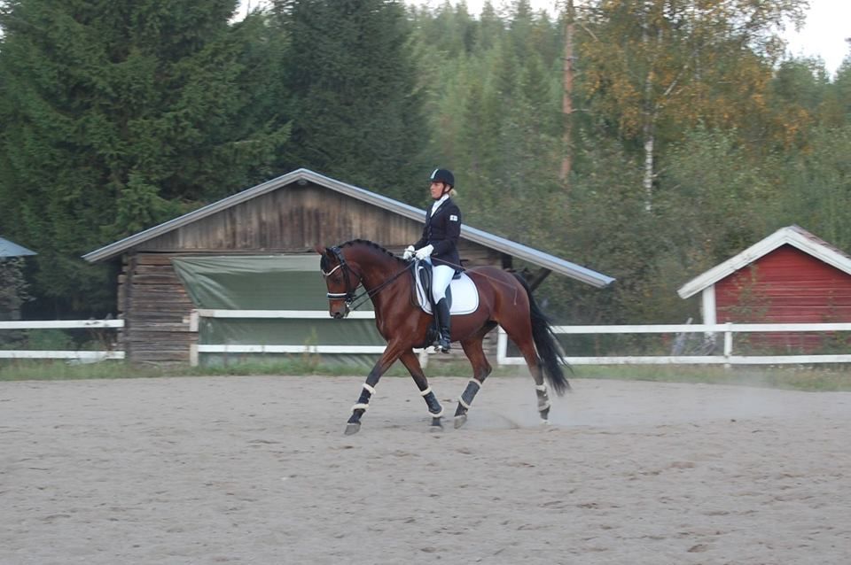 itahameenhevospalvelut