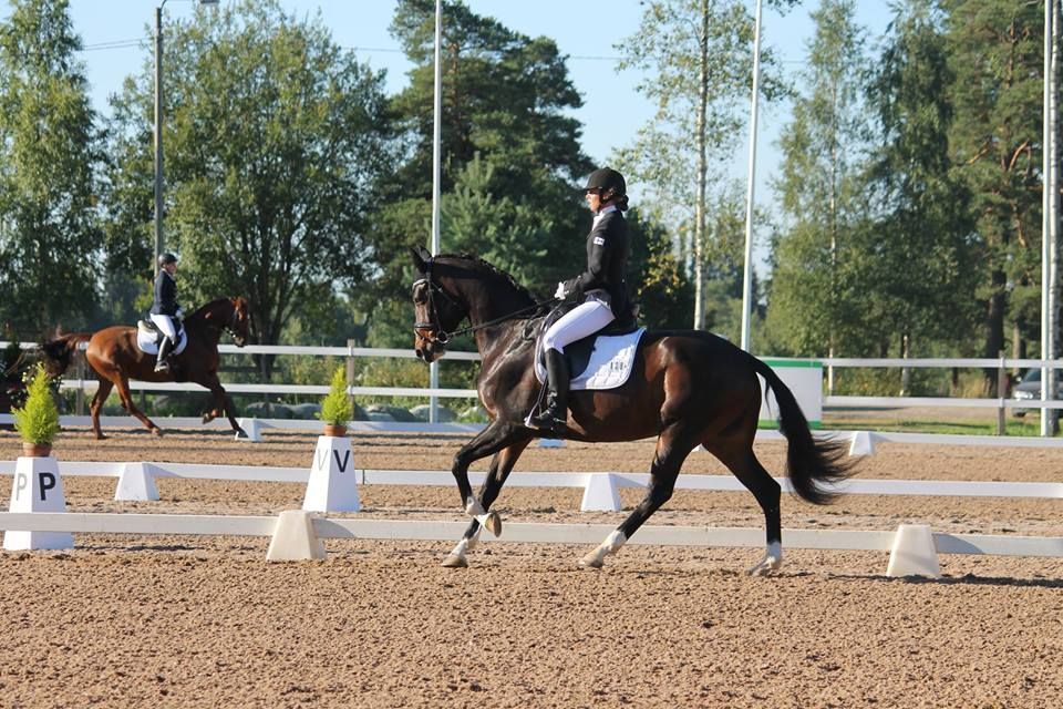 itahameenhevospalvelut