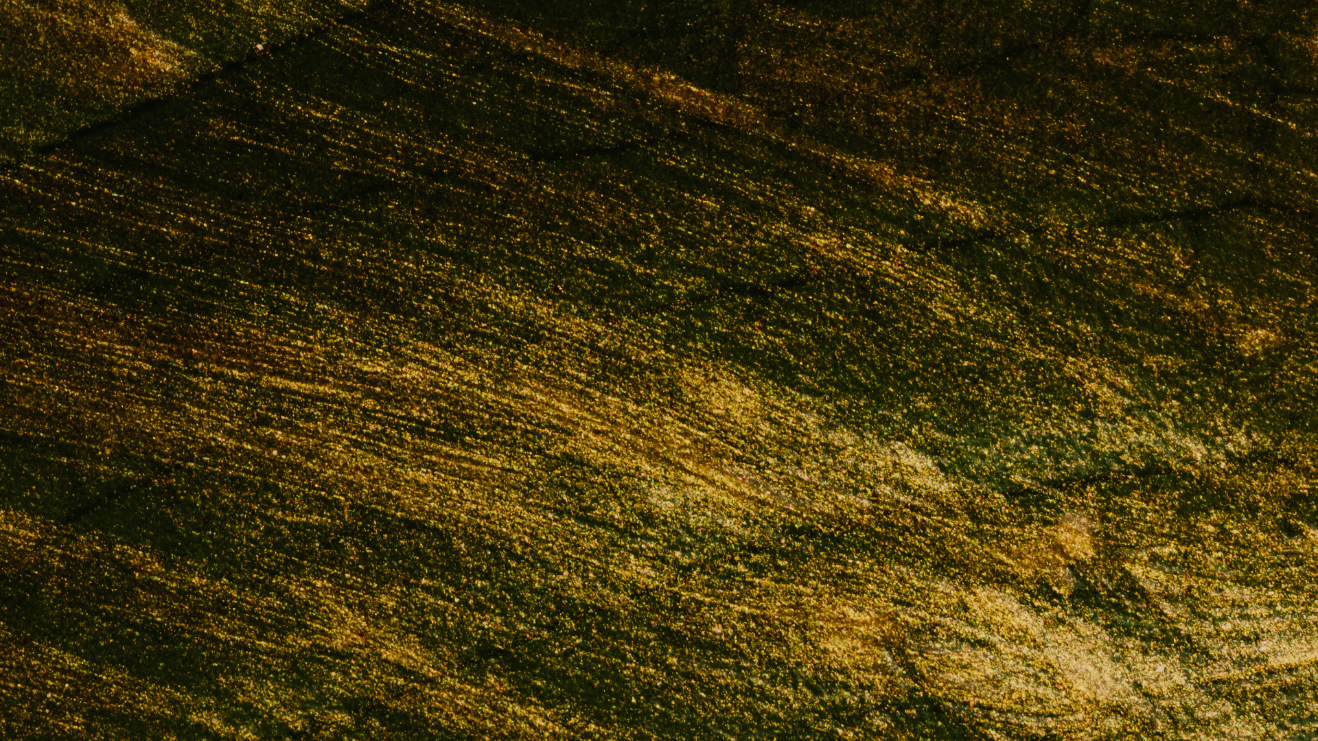 Des coups de pinceau diagonaux dorés et vert foncé créent un fond texturé et abstrait.