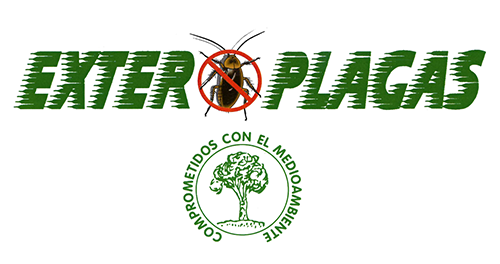 logotipo cabecera