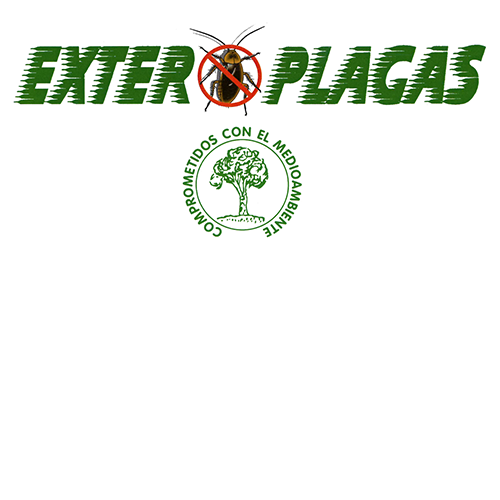 logotipo cabecera
