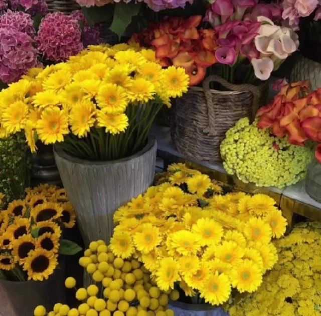 Des fleurs jaune vif, orange et rose dans des seaux sur un étalage de marché aux fleurs.