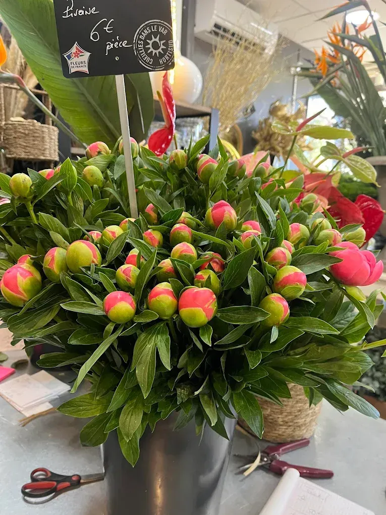 Bouquet de fleurs roses et vertes dans un seau noir, devant le comptoir d'un fleuriste.