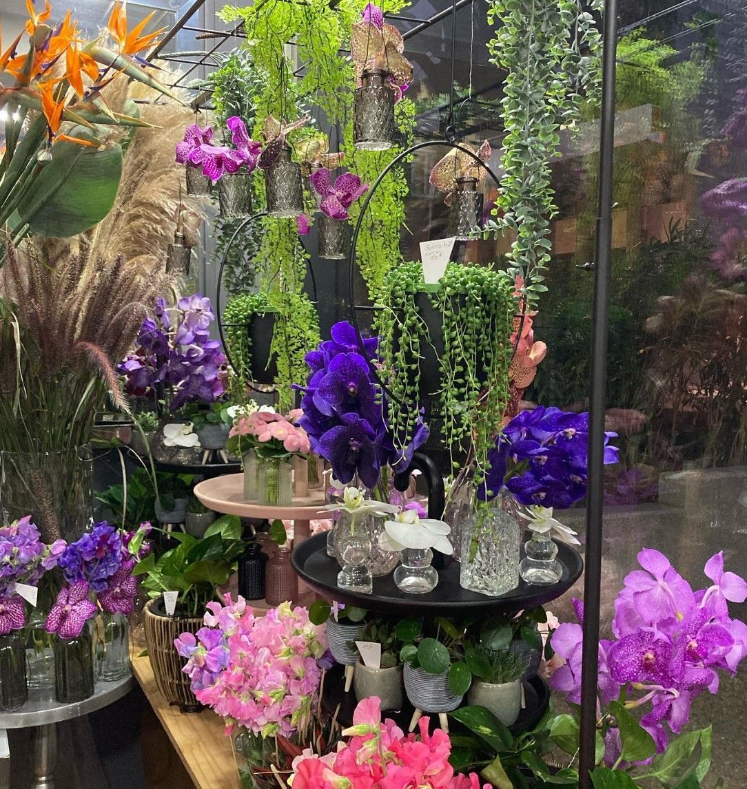 Orchidées colorées et plantes tropicales disposées dans une serre.
