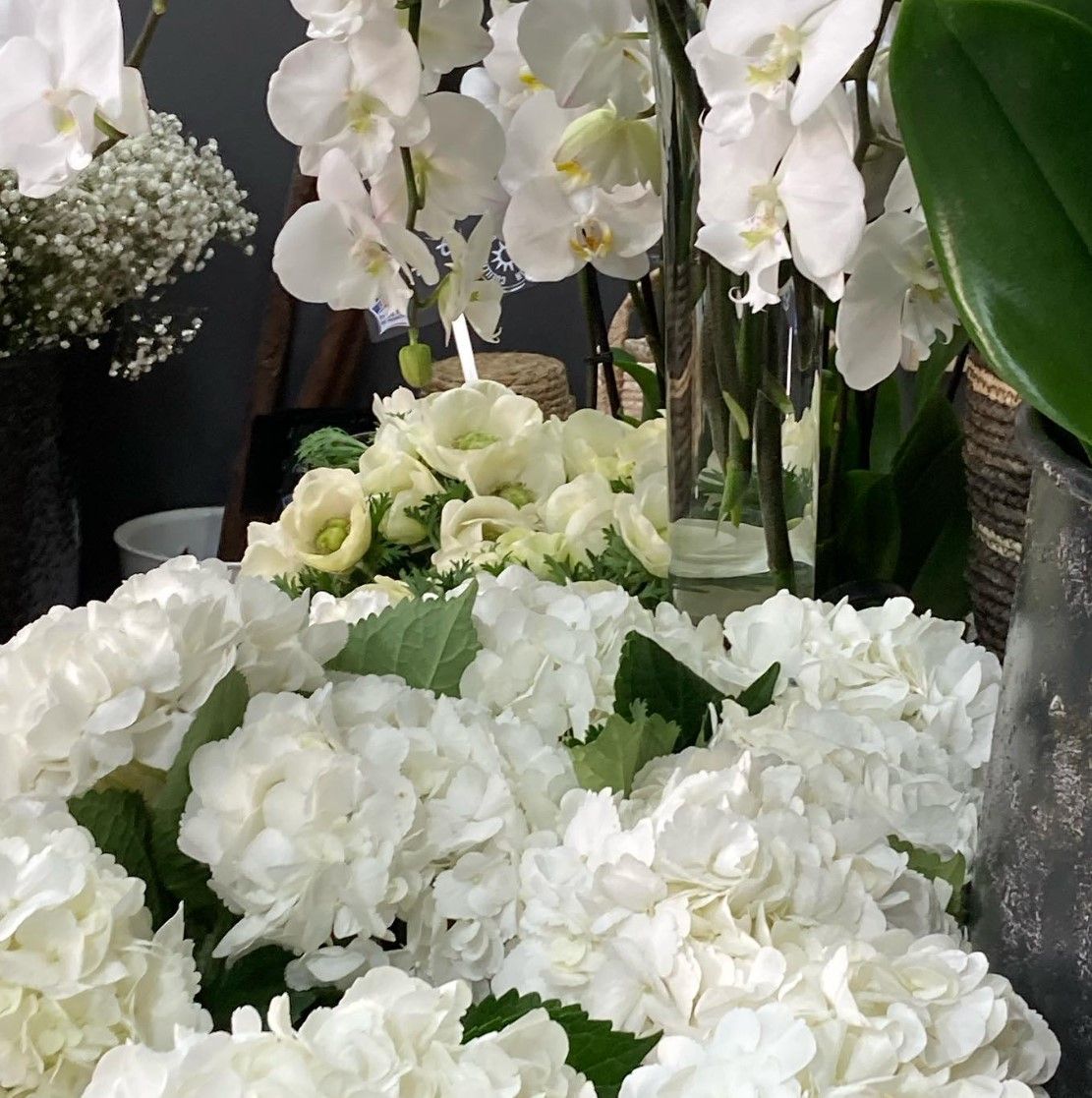 Des hortensias blancs et des orchidées disposés en une composition florale avec des feuilles vertes.