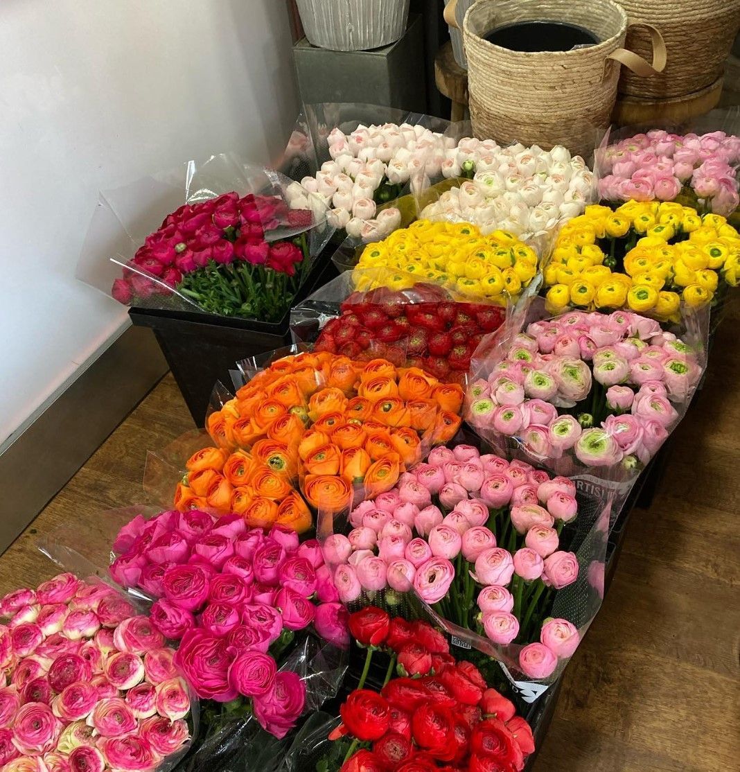 Des fleurs colorées assorties, disposées dans des caisses noires sur le so.