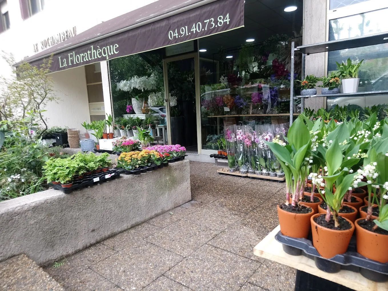 Façade de fleuriste avec plantes en pot et fleurs colorées à l'extérieur.