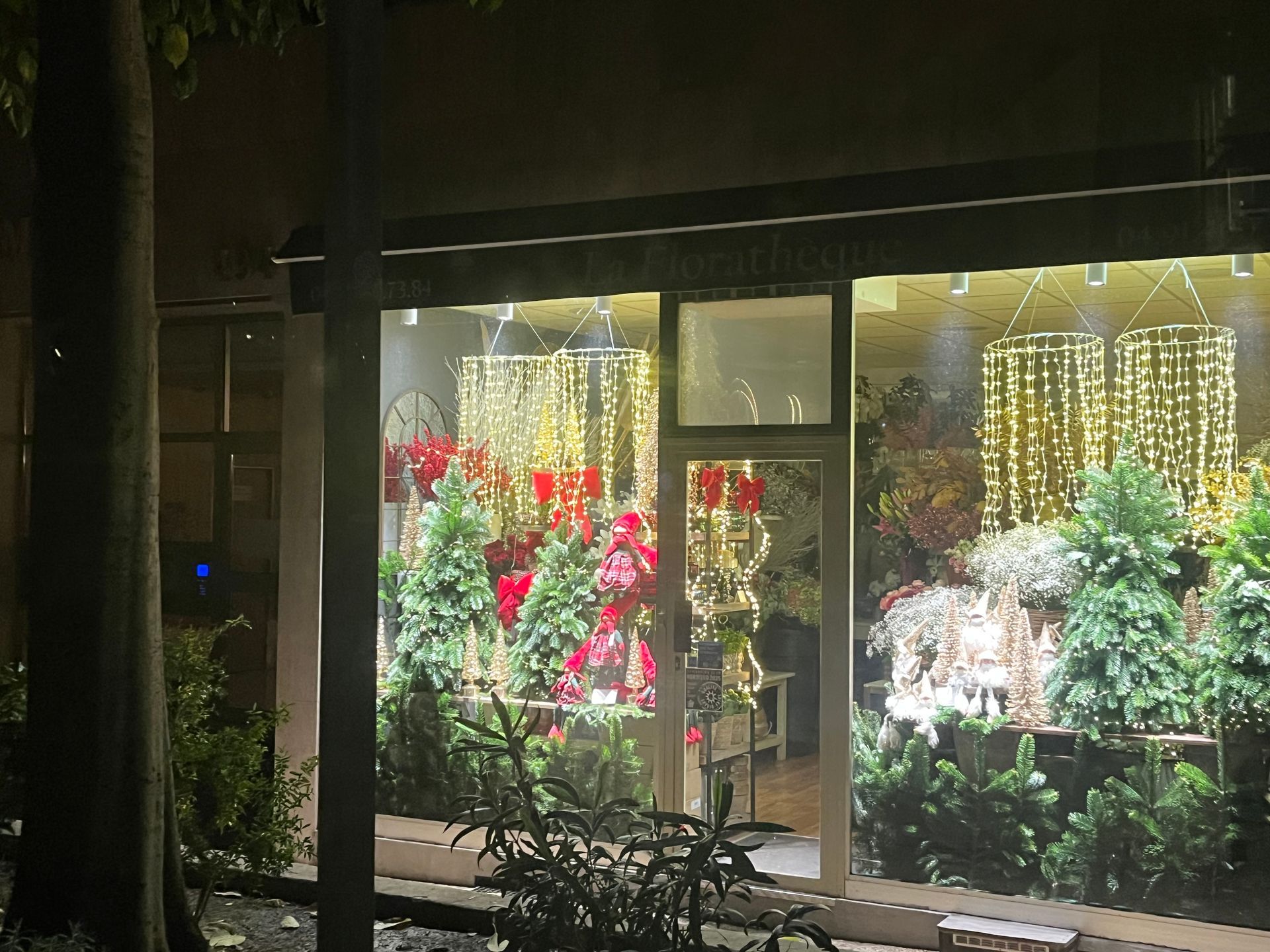 La vitrine d'un fleuriste illuminée par des guirlandes lumineuses et des bouquets colorés la nuit.