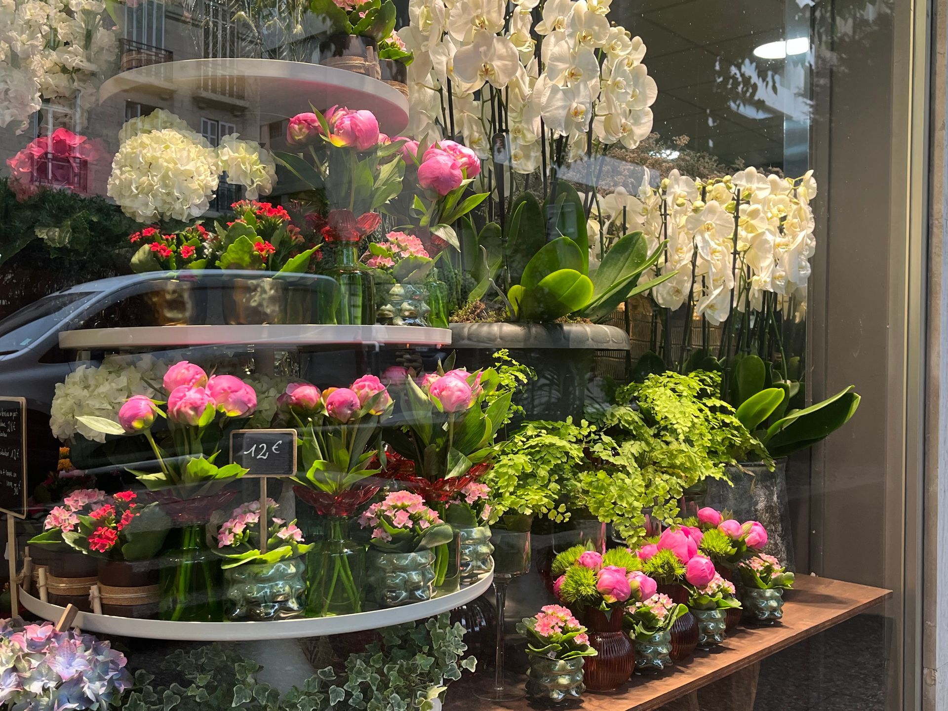 Vitrine de fleuriste avec des orchidées roses et blanches disposées sur des étagères à plusieurs niveaux près d'une fenêtre.