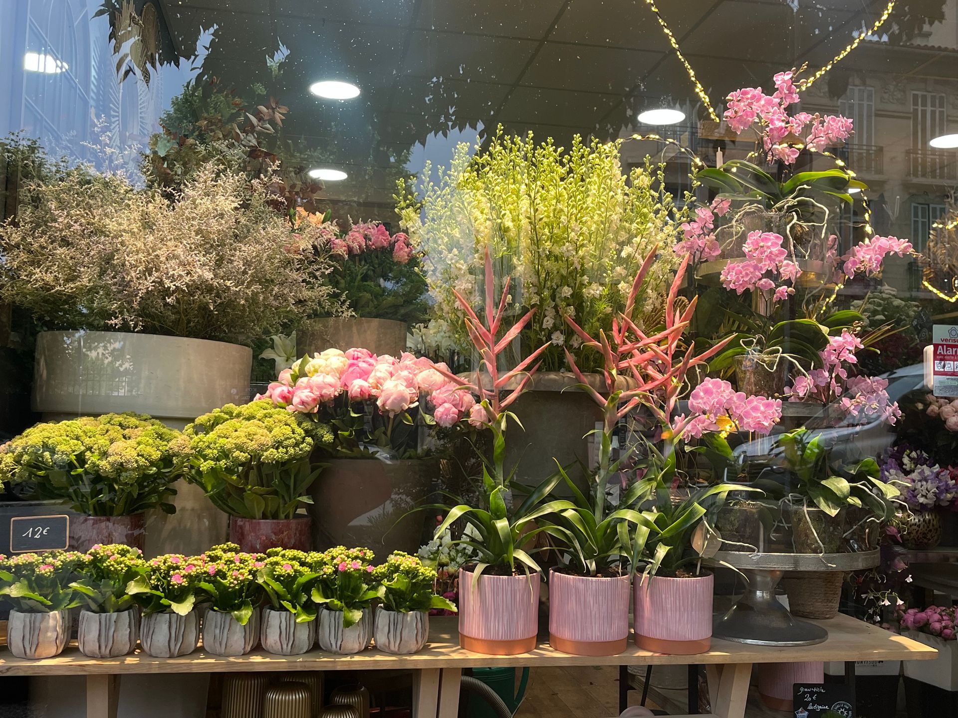 Présentoir de fleuriste avec des pots de fleurs roses, des plantes vertes et des orchidées sur des étagères.