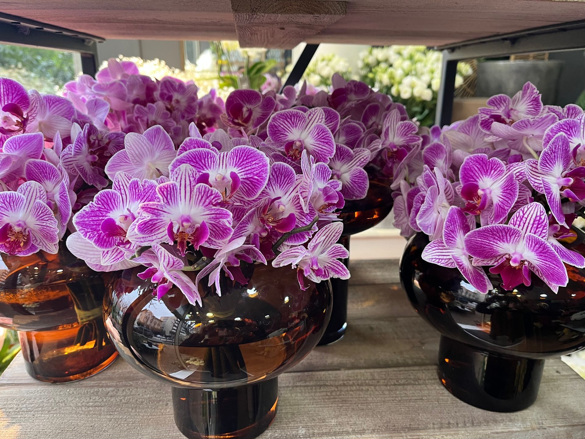 Des orchidées violettes dans des vases noirs brillants alignées sur une étagère en bois à l'intérieur.