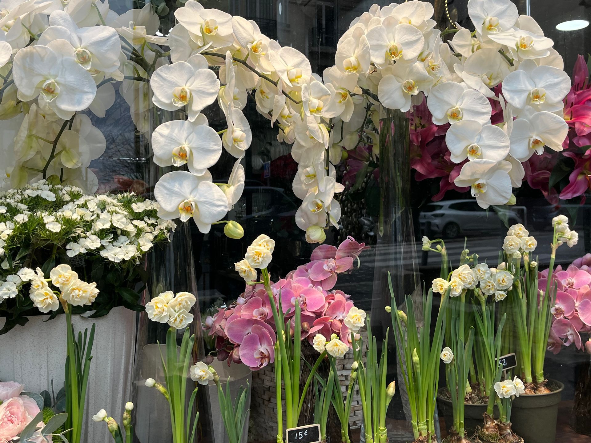 Des orchidées blanches et roses présentées parmi des feuilles vertes dans une boutique de fleurs.
