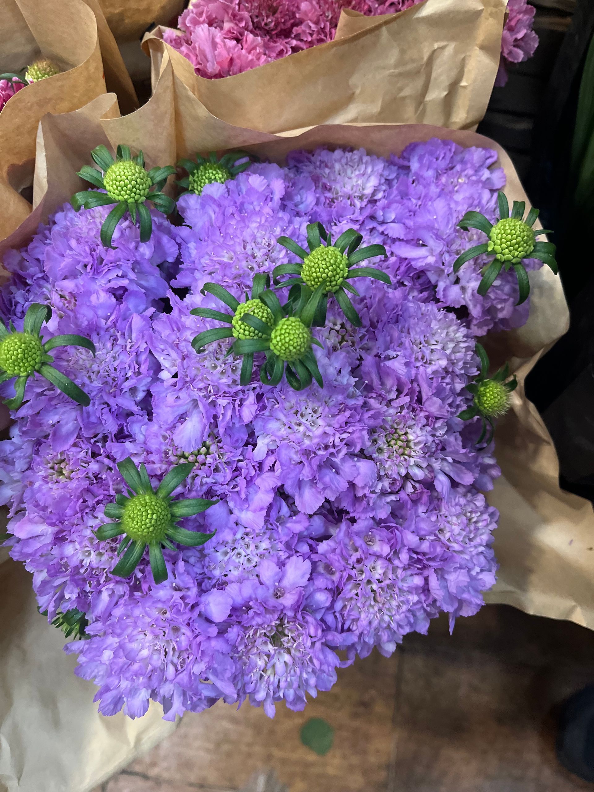Des fleurs violettes enveloppées dans du papier brun, avec quelques fleurs à cœur vert parmi elles.