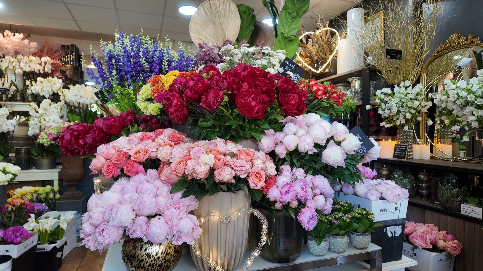 Présentation de bouquets colorés dans une boutique de fleurs, avec des fleurs roses, rouges, blanches et bleues dans des vases décoratifs.
