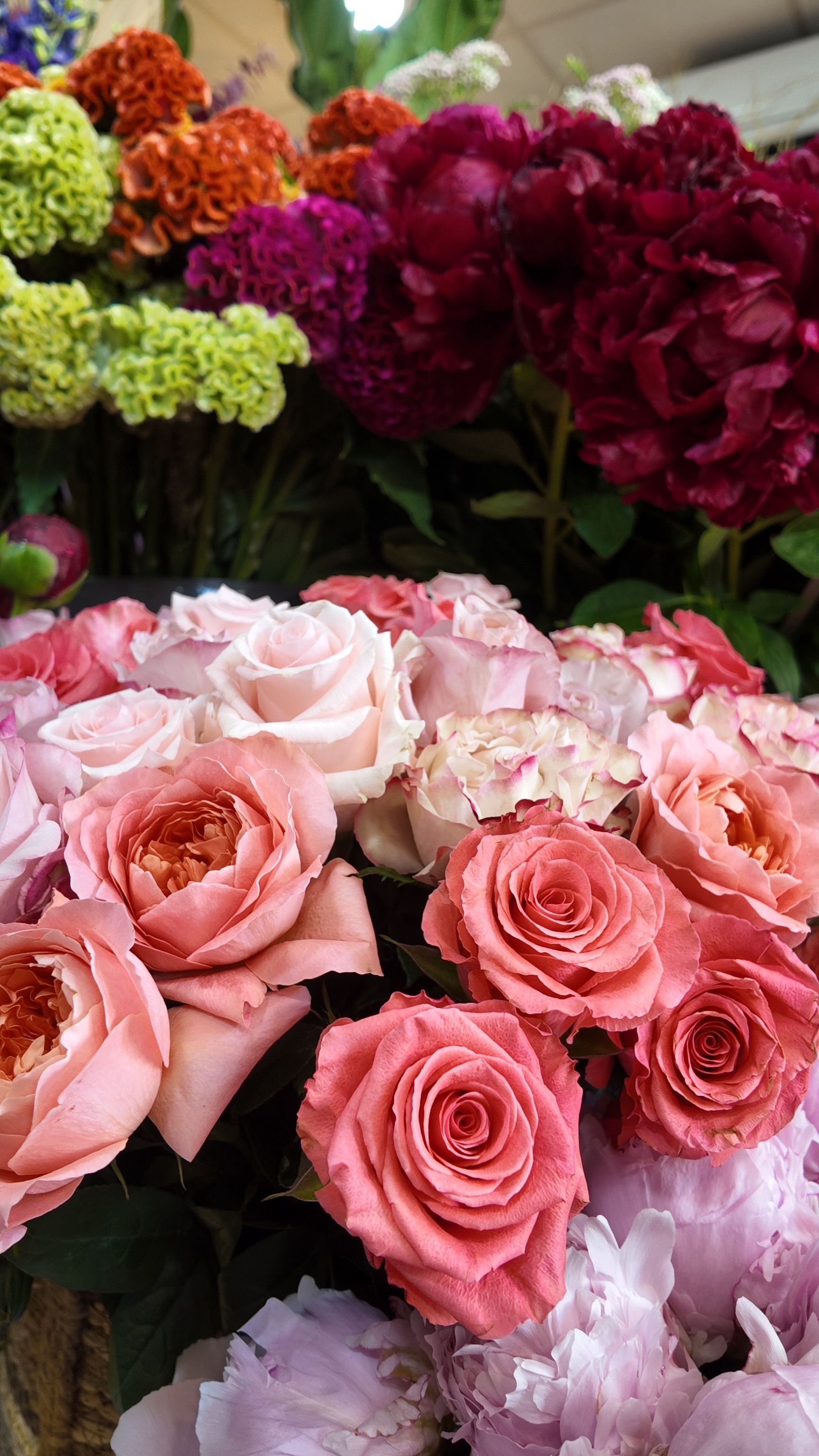 Bouquets assortis de roses et d'œillets roses, rouges, violets et oranges dans une boutique de fleurs.
