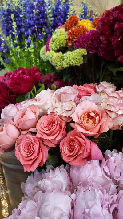 Fleurs colorées assorties en seaux, notamment des roses roses, des fleurs violettes et des fleurs rouges et jaunes.