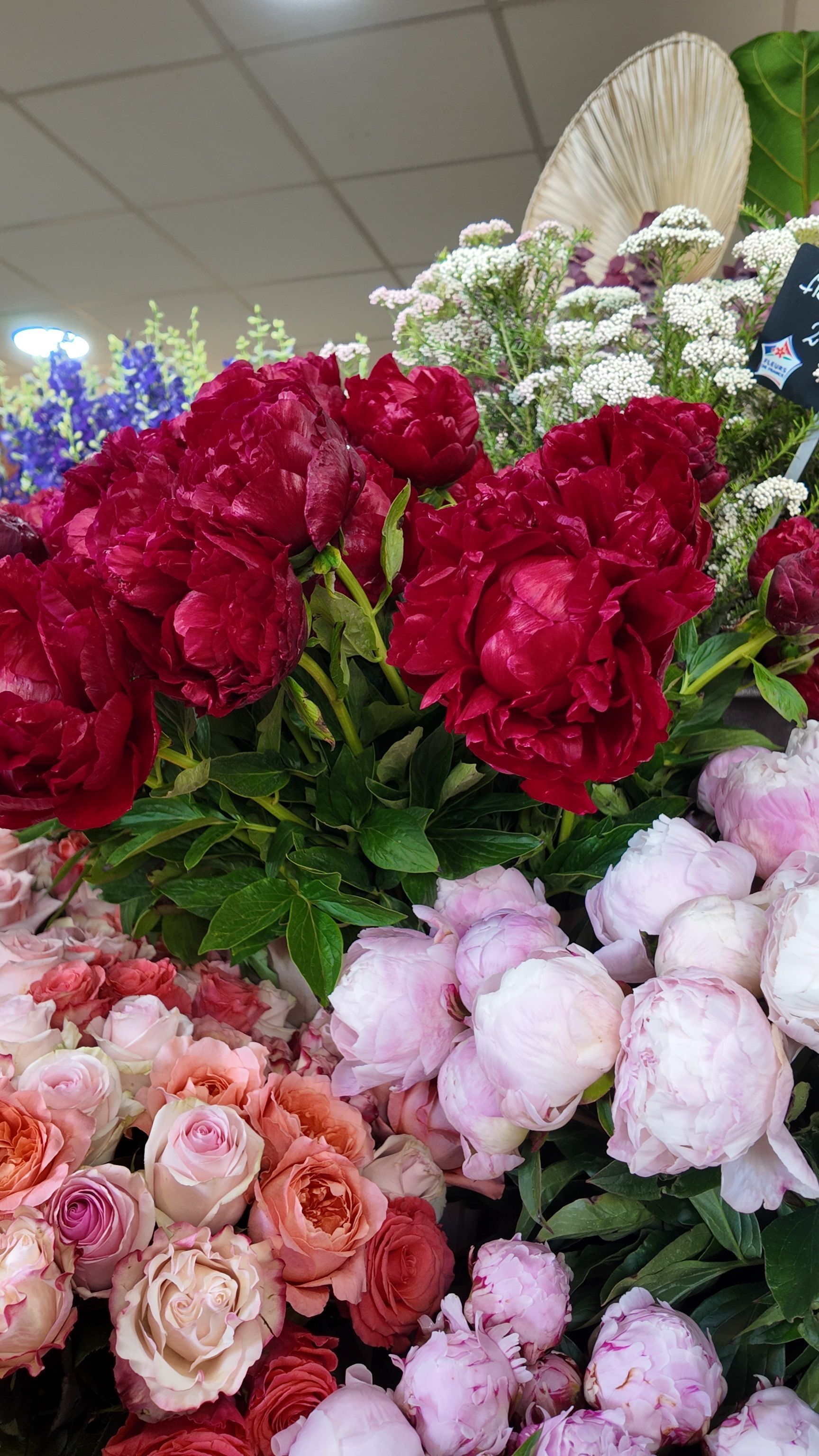 Des bouquets assortis de fleurs rouges, roses et blanches étaient présentés à l'intérieur, sous la lumière vive du magasin.