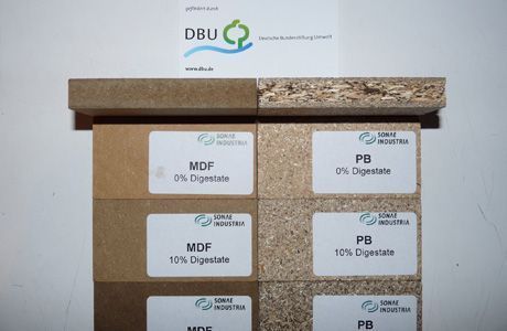 Eine Ausstellung verschiedener Holzarten, darunter MDF und PB