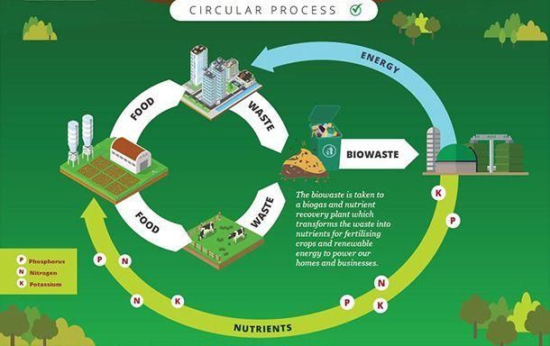 Ein Diagramm, das den Kreislaufprozess von Lebensmittelabfällen und Energie zeigt