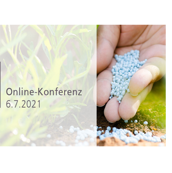 Eine Person hält eine Handvoll blauen Dünger