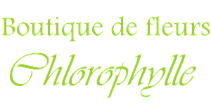 Logo - Boutique de fleurs Chlorophylle, à Montcornet, dans l'Aisne