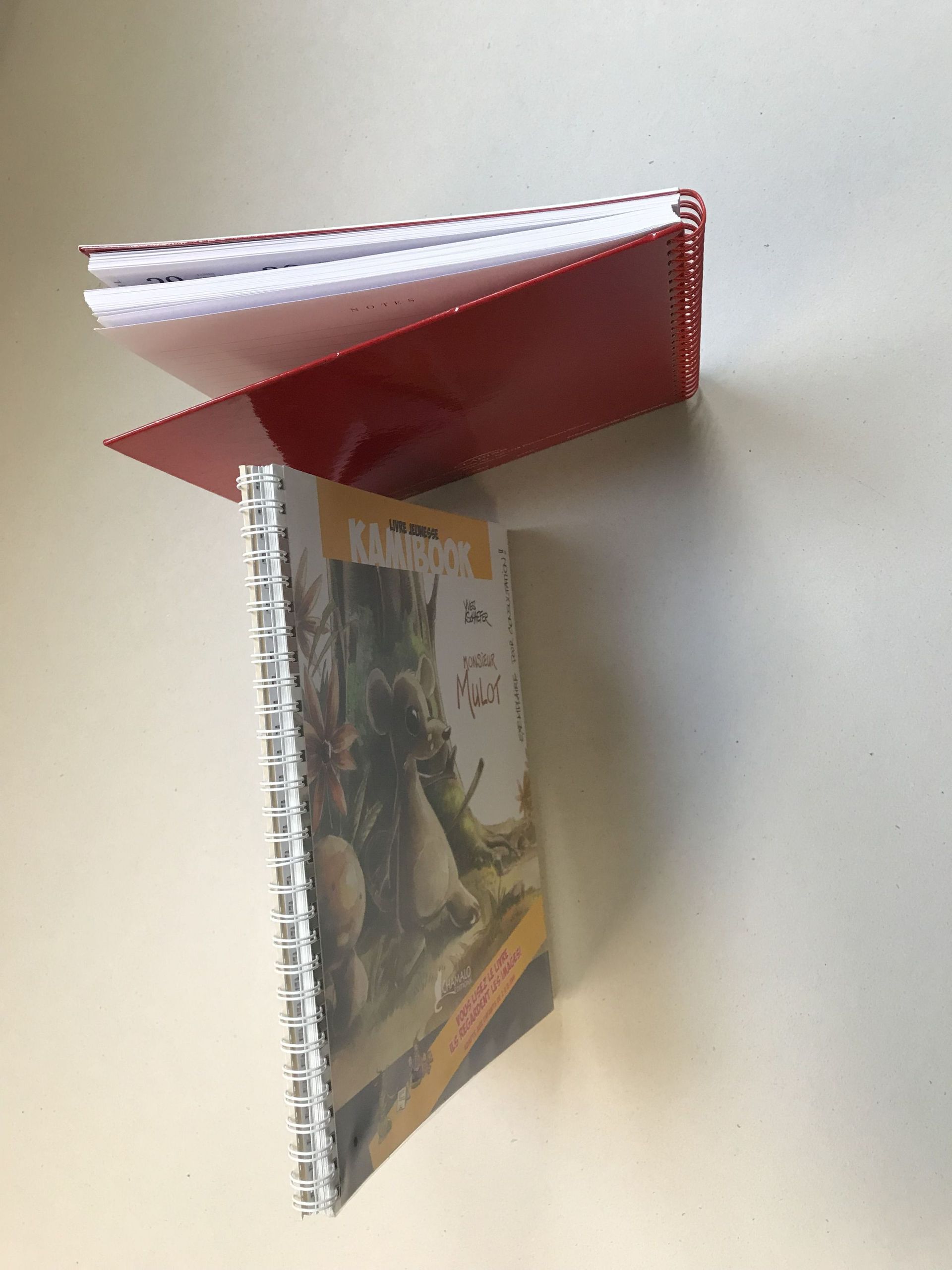 RS Reliure Service SA