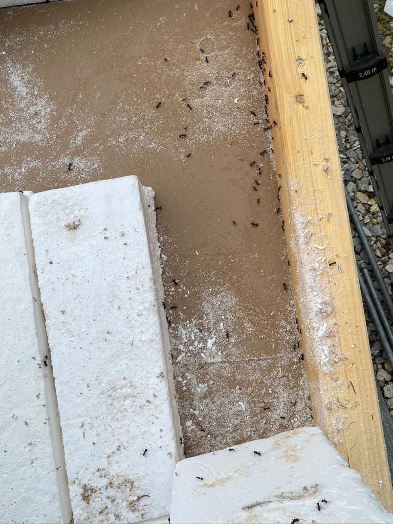 Rénovation - sablage