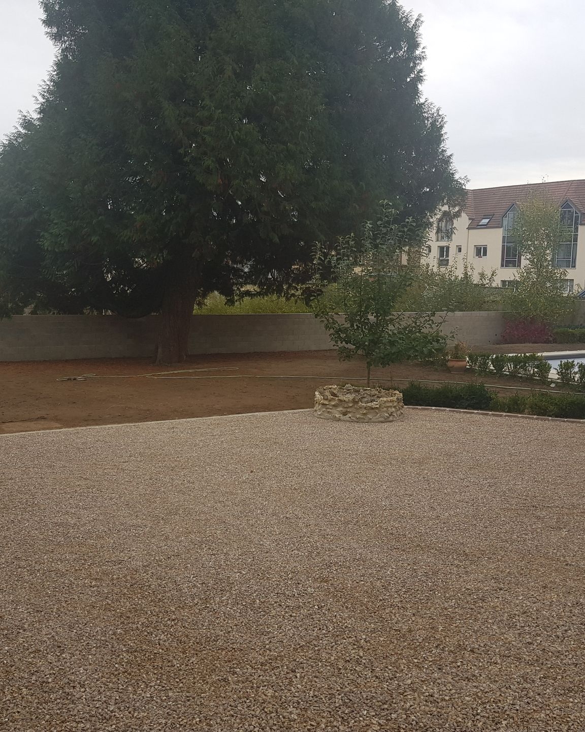 Extérieur - cour en gravier avec un petit arbre