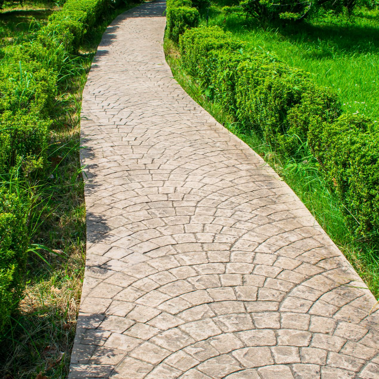 Allée de jardin en pavés encadrée de haies basses