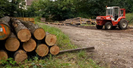 Bois en grume transport Bois en grume transport