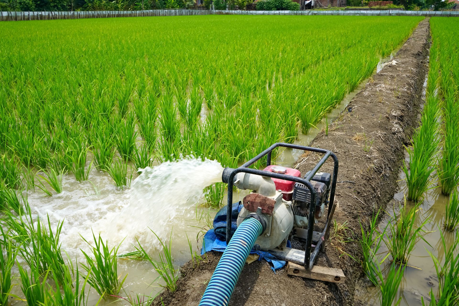 Pompe pour irrigation dans un champ