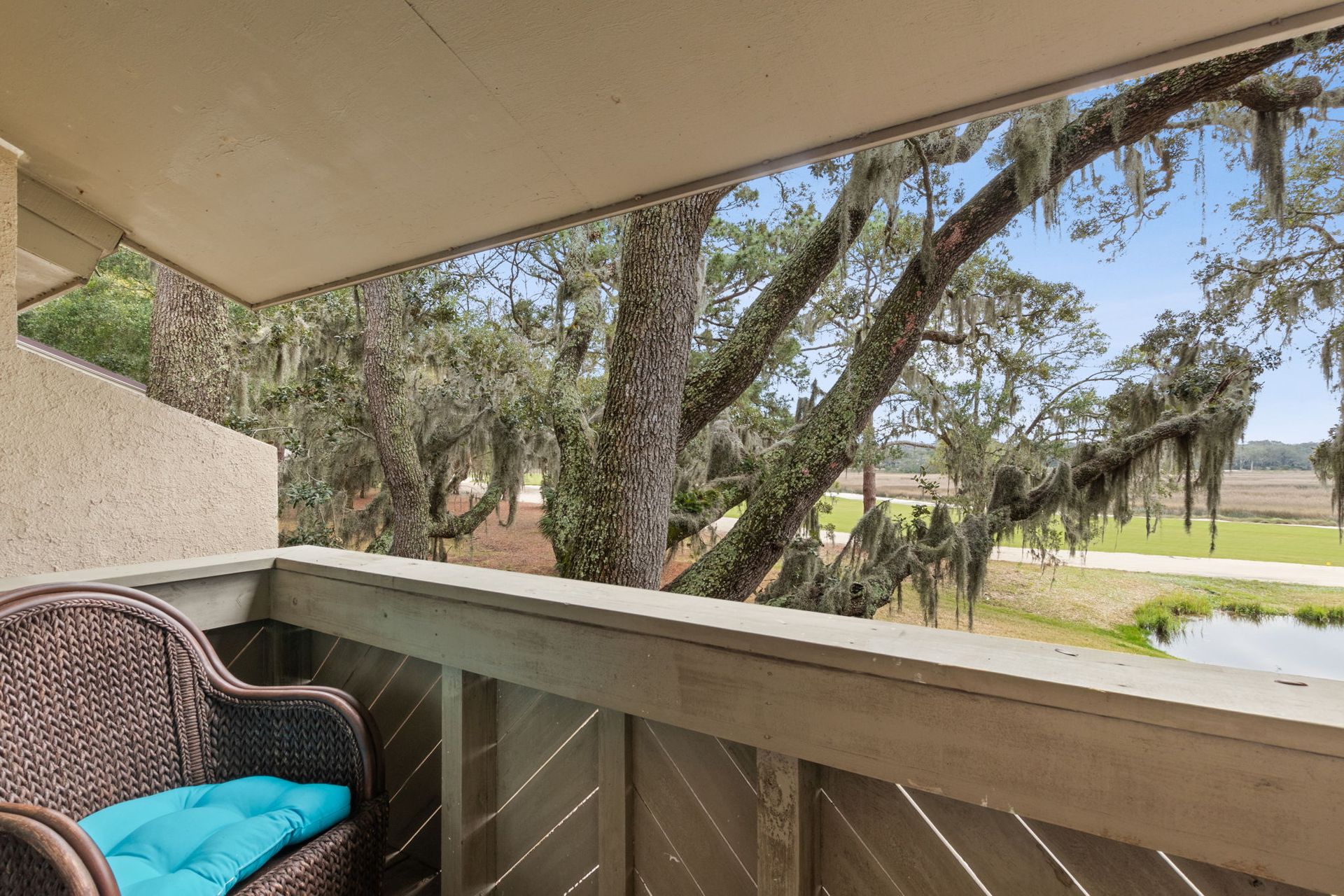 Patio Photo / Patio View