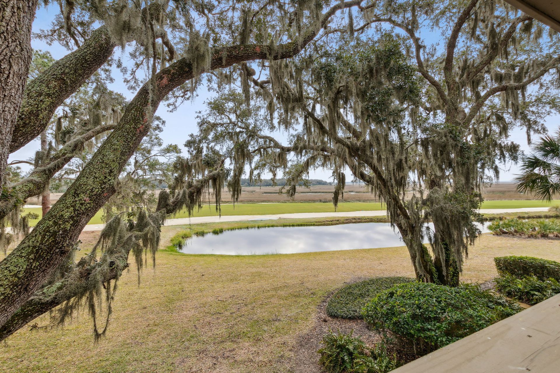 Patio Photo / Patio View