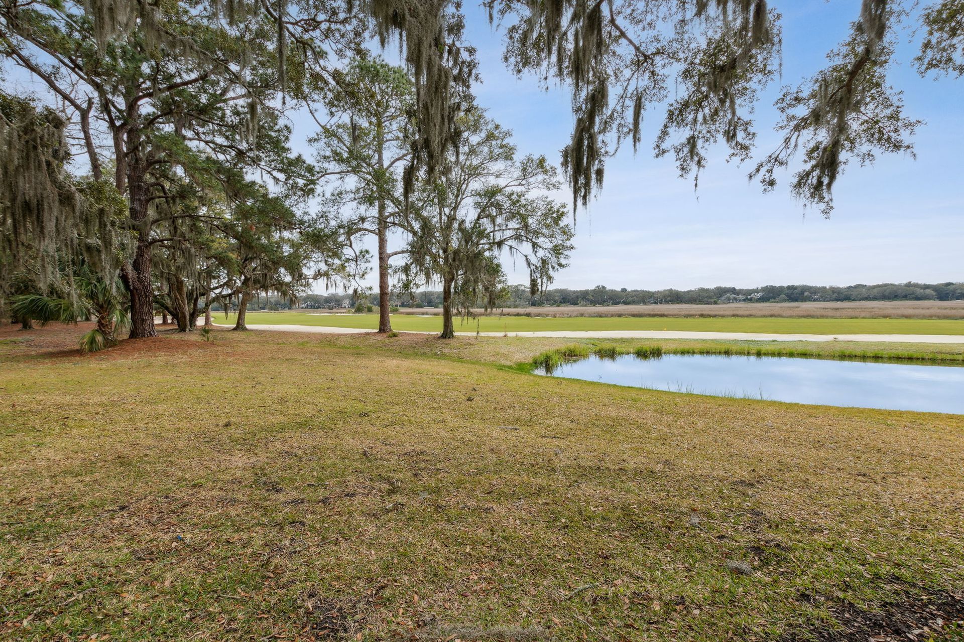 Patio Photo / Patio View
