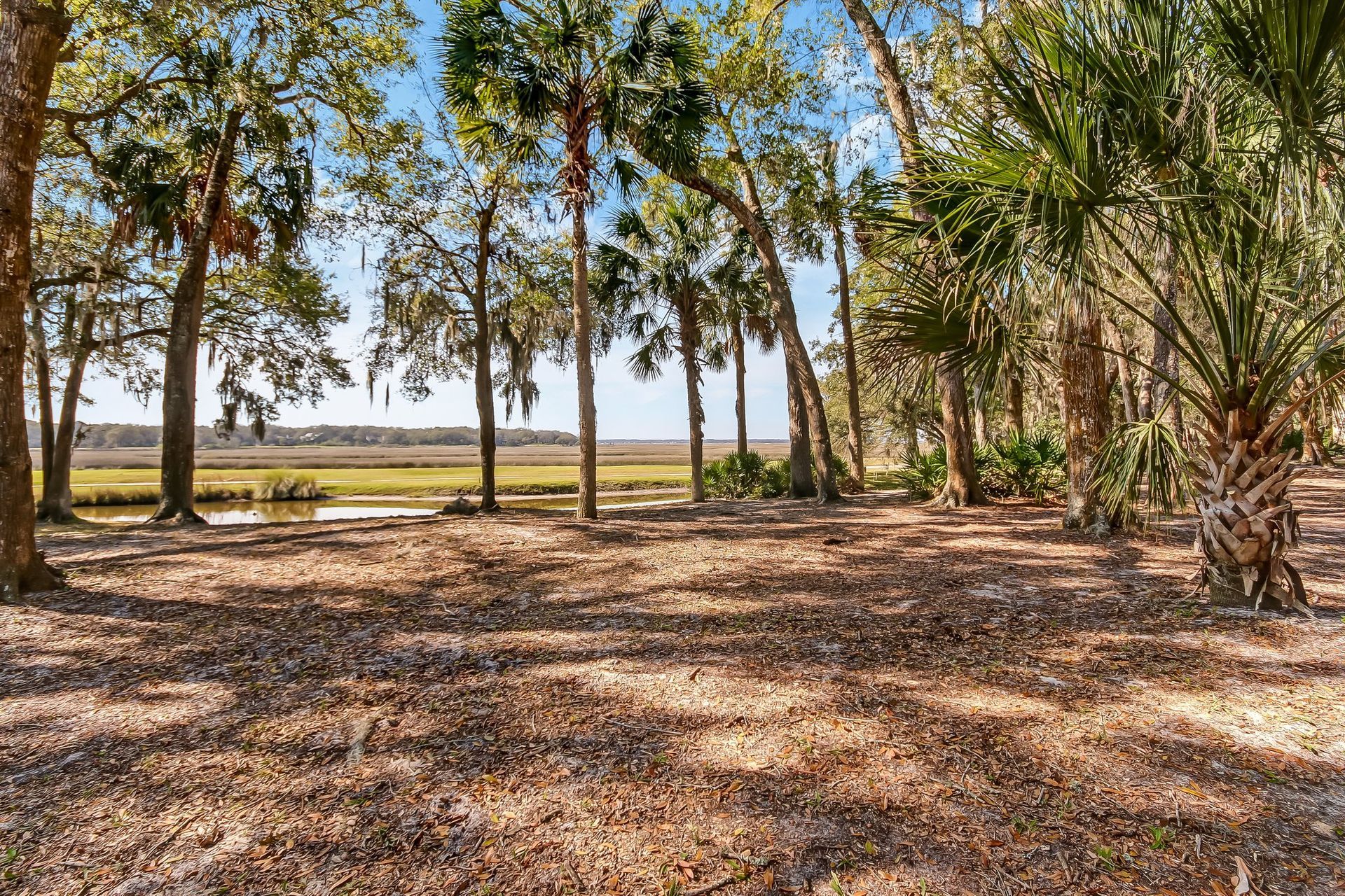 Patio Photo / Patio View