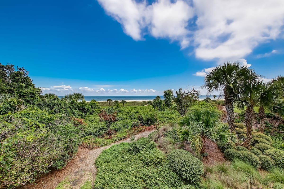 Patio Photo / Patio View