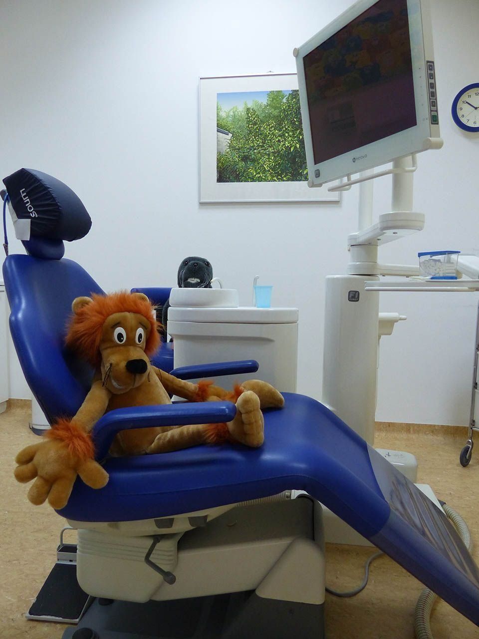 Dr. med. dent. Petra Lehmann-Wittkop