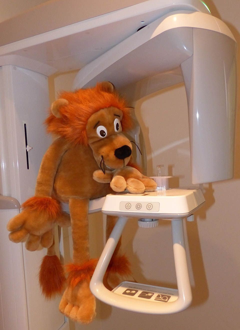 Dr. med. dent. Petra Lehmann-Wittkop