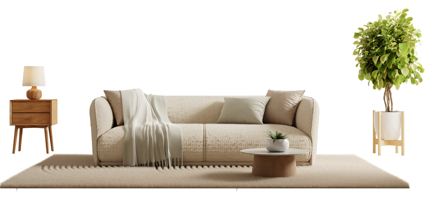 Salon avec canapé, tapis, table d'appoint avec lampe, table basse et plante en pot.