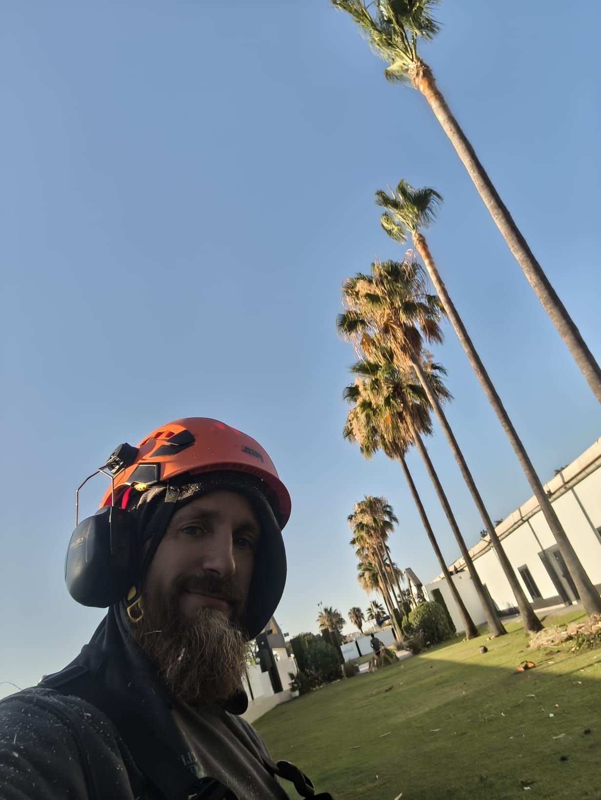 Un hombre con un casco naranja se hace un selfie en un parque soleado con palmeras altas y césped.